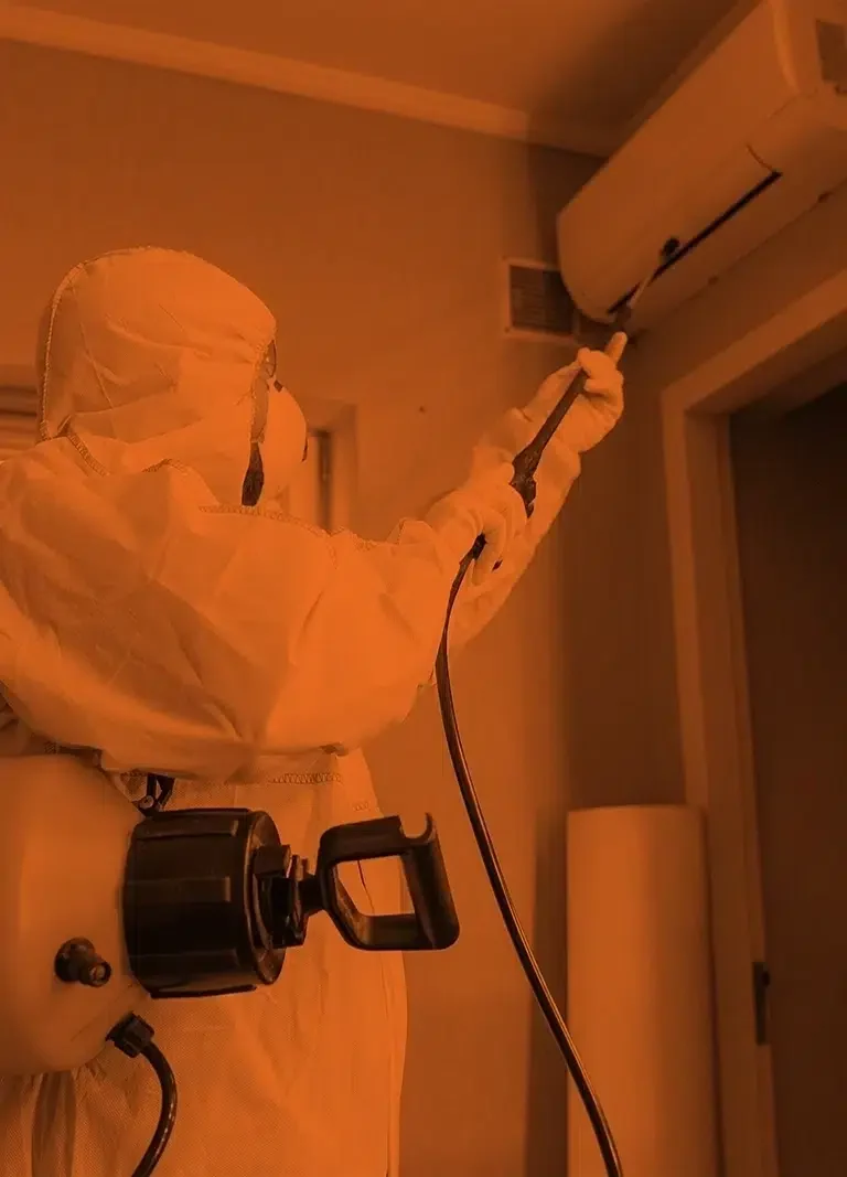Lead Generation For Pest Control | Tradie Up
